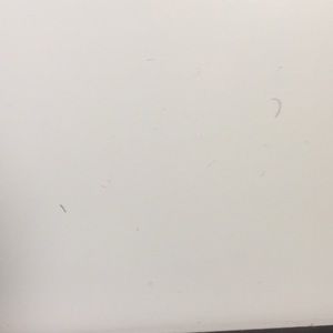 Meet your Posher, Willie